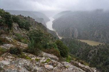 İspanya 'nın Zamora eyaletindeki dağlarda nehir