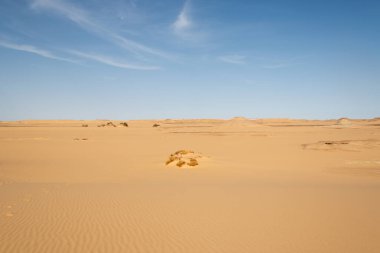 Mısır 'da beyaz çölün güzel kum tepeleri