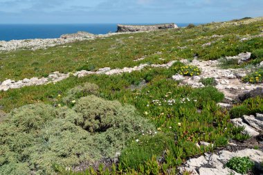 Doğanın güzel manzarası