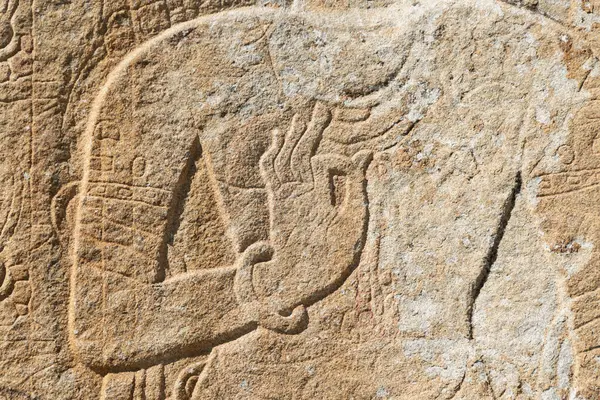 Angkor, Kamboçya 'daki Bayon tapınağının duvarı.