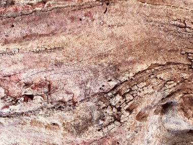 Doğal desenli ahşap doku