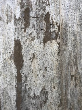 Grunge beton doku arkaplanı