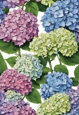 Güzel ortanca çiçekleri arkaplanı