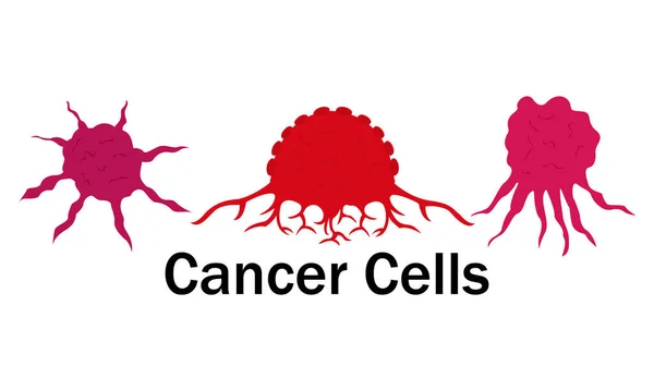 正常细胞和癌细胞载体设计 100 矢量图解设计 — 图库照片