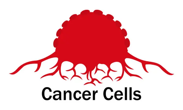 正常细胞和癌细胞载体设计 100 矢量图解设计 — 图库照片
