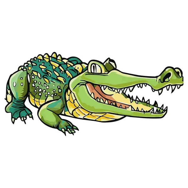 Krokodýlí Obrázek Tak Krásný — Stock fotografie