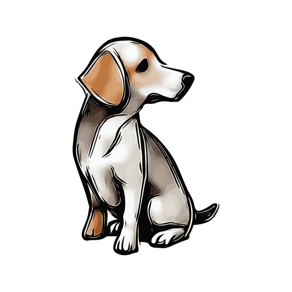 Kutyás Kép Beagle Olyan Gyönyörű — Stock Fotó
