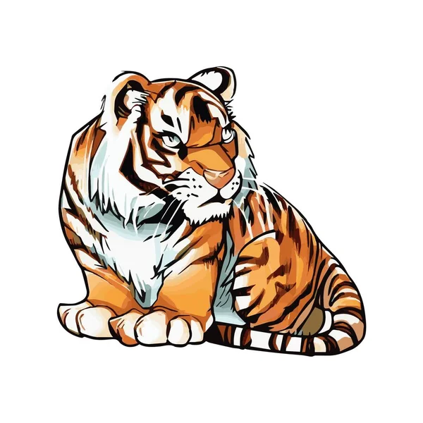 Tigerbild Den Vacker — Stockfoto