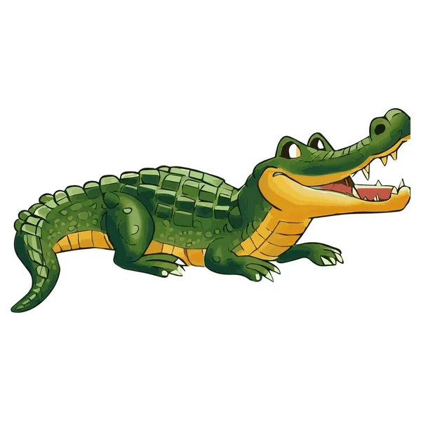 Krokodilbild Ist Schön — Stockfoto