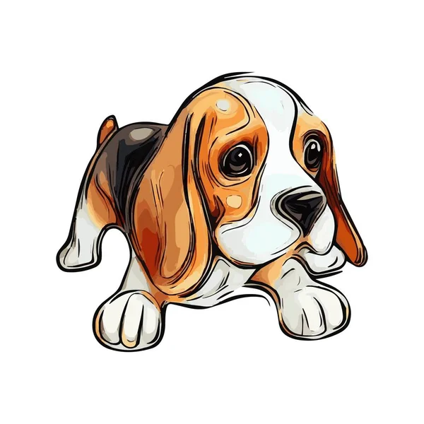 Köpek Resmi Beagle Çok Güzel — Stok fotoğraf