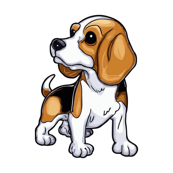 Hundebild Beagle Ist Schön — Stockfoto