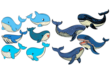  Balina resmi. Bir arkaplan çizimi.