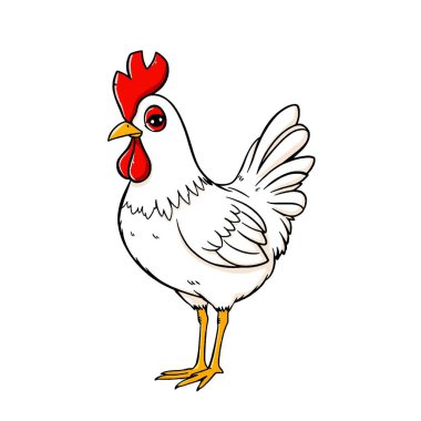 Tavuk resmi, genel kullanım resmi, ve çok güzel..