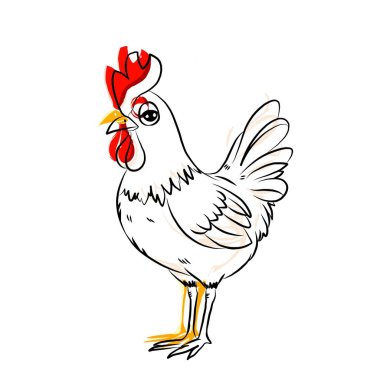 Tavuk resmi, genel kullanım resmi, ve çok güzel..