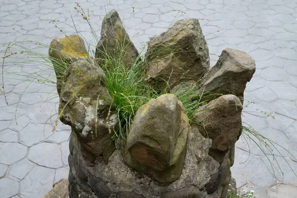 stock image At the station on top of the mount Artxanda funicular in Bilbao you can see this strange vase made of rocks, at the foot of a staircase: grass is growing inside.