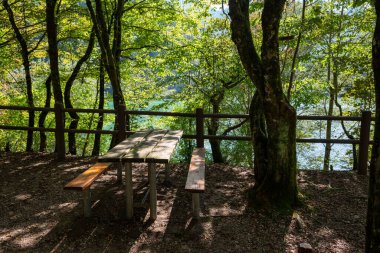 A pic nic area in the lake of Barcis, Italy. We can see wooden benches and table surrounded by mossy trees. There is a wooden railing before the body of water, everyhting ina reflexing shade. clipart