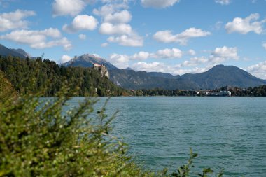 Slovenya 'nın Julian Alplerinde Kanlı Kale manzarası. Güneşli bir günde sonbahardayız: Önplanda yeşil bir çalı var, aralarında mavi tatlı sular var..