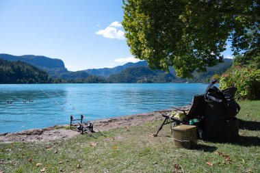 Fisherman life with two fishing rods and a foldable chair at Lake Bled in the Julian Alps. We see three ducks floating on the blue body of water in a sunny day of autumn. We are in Slovenia. clipart