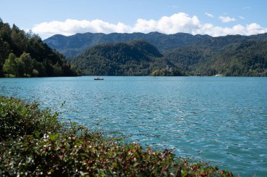 View of a wooden boat sailing in lake Bled in the Julian Alps (Slovenia). It is a morning of october, there is a little wind and the hills are green. clipart