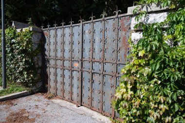 Paslı bir kapı, kapalı, yıpranmış ve gizemle dolu. Yakınlarda büyüyen bir sarmaşık bitkisi var. Sonbaharın güneşli bir günü..