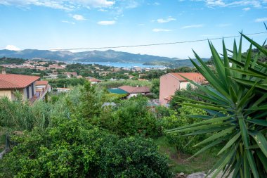 İtalya 'daki Elba adasındaki Portoferraio limanının manzarası, ön planda palmiye ağaçları olan bir tepeden çekilmiş.