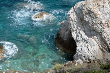 Bather swimming from a rocky cave emerging from the waves in the blue waters and seafoam of Sansone beach. We see yellow wildflowers and weeds clipart