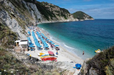 The bar of Sansone beach at the Elba island in summer, with sunbeds, umbrellas and many paddle boards hauled out of the blue waters clipart