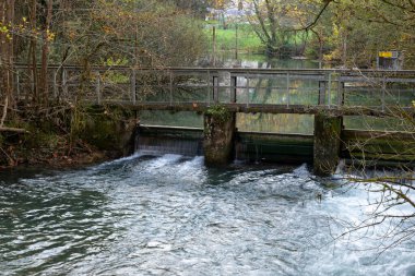 Polcenigo 'daki Livennza Nehri' ne yakın bir blokta sonbaharda akan tatlı sularda köpük var.