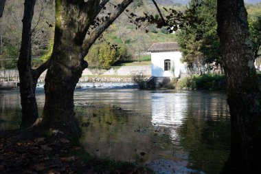 Friuli (İtalya) 'da Polcenigo' da çakıl taşları ve yosunlarla akan nehrin yavaş çekim hızı. Aşırı hareket bulanıklığını anlayabiliriz.