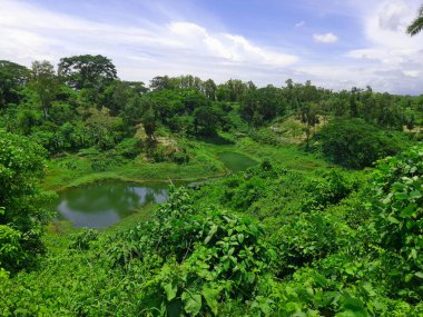 Nehir, yeşil ağaçlar ve mavi gökyüzü olan güzel manzara.