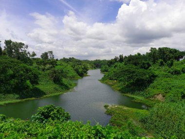 Bangladeş ormanındaki nehir. 