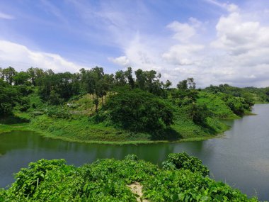 Ormandaki nehir manzarası