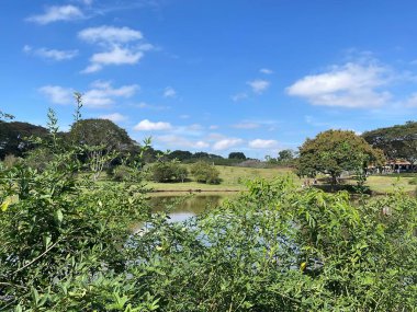 Göl manzarası huzurlu botanik bahçesi Curitiba Brezilya