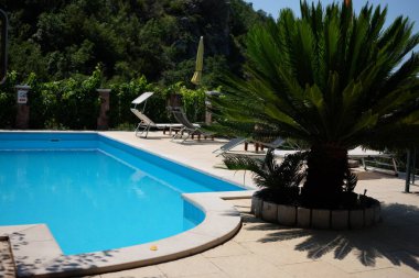 Pool with deckchairs with palm trees