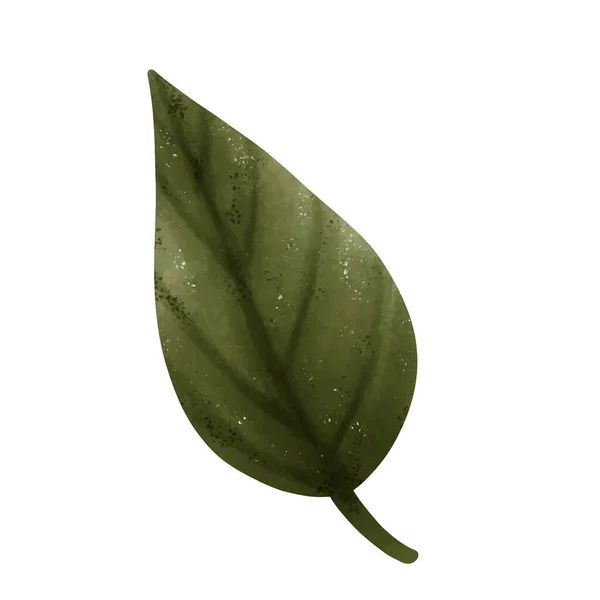 Set Desene Frunze Verzi Stil Acuarelă — Vector de stoc