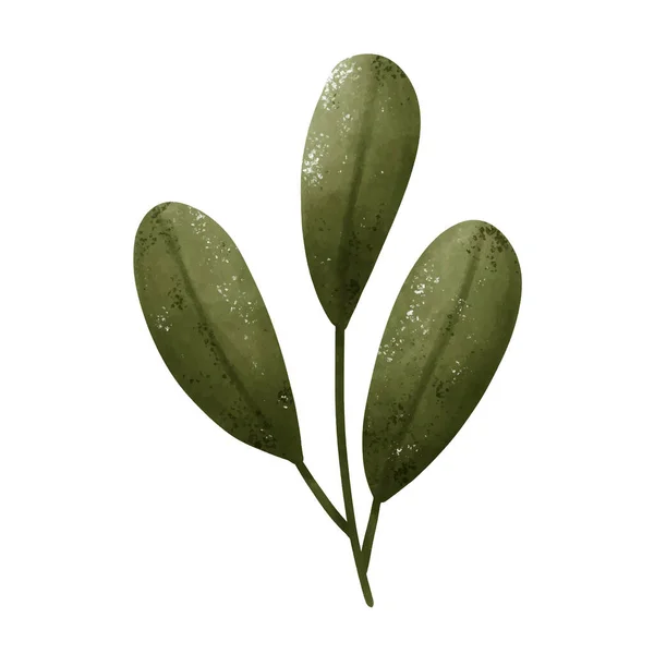 緑の葉の図面のセット ウォーターカラー — ストックベクタ