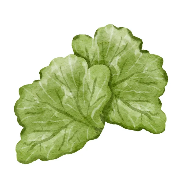 Zeleninový Akvarel Styl Malování — Stockový vektor
