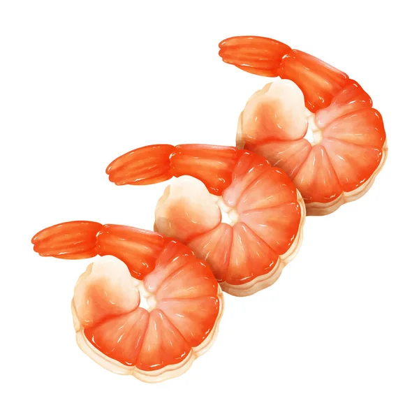 白色背景上的虾画 水彩画风格 — 图库矢量图片