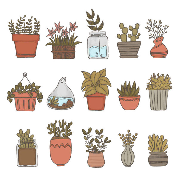 vector set of houseplants in pots isolated on white background 