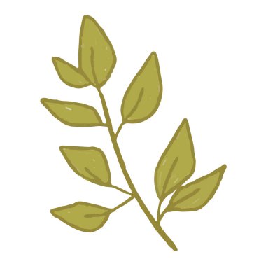 Yaprak ve yaprak dekorasyonu tasarımı