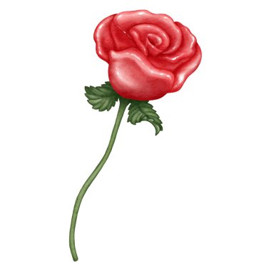 Sulu yeşil yapraklı kırmızı güller.