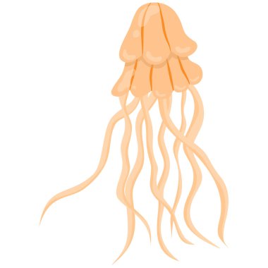 Şeffaf bir arkaplanda izole edilmiş bir denizanası. Bir deniz hayvanının vektör çizimi..