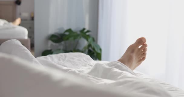 Männliche Füße Lugen Sonnigen Morgen Unter Einer Weißen Bettdecke Hervor — Stockvideo