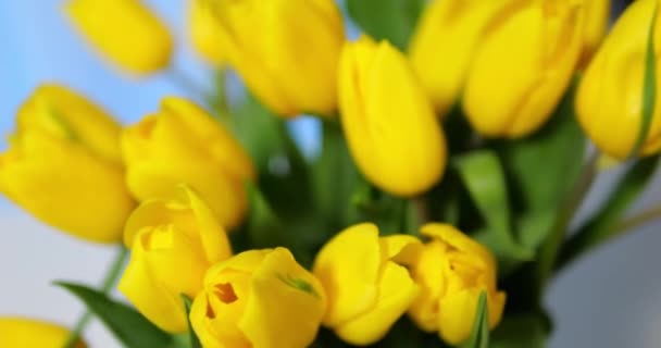 Bellissimo Mazzo Fiori Tulipano Giallo Primaverile Colore Intenso Casa Colpo — Video Stock
