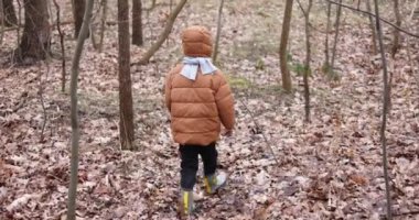 Küçük çocuk soğuk bir sonbahar günü ağaçların arasında kuru yaprakların arasında yürür. Lastik çizmeli, kapüşonlu ve eşarplı bir çocuk dönüp kameraya bakıyor..
