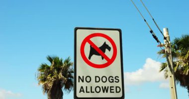 Sokakta metal plaka üzerine kazınmış evcil hayvana köpek uyarısı yapmak yasaktır. Palmiye ağaçları ve lamba direğine karşı dikdörtgen çelik panelde uyarı levhası