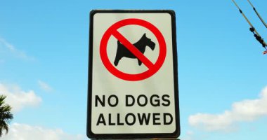 Açık gökyüzüne konan büyük dikdörtgen sokak plakası üzerinde Köpek Uyarı işareti yok. Köpekleri gösteren uyarı plaketi. Üstü çizilmiş hayvanlarla yasaklanmıştır.