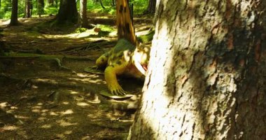 Sırtında yüzgeç olan dinazor modeli güneş ışığıyla aydınlatılmış ormanda yere yakın konumlanmış. Açık ağız ve dokulu deri tarih öncesi çevrede dinamik bir sahne olduğunu gösteriyor.