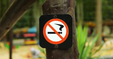 Siyah sigara ve ağaç gövdesinde sigara izmariti ve kırmızı köşeli sigara izine rastlanmadı. Doğal açık hava ormanı ormandaki kamusal alanı gösteriyor.