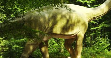 Büyük Mamenchisaurus dinazor modelinin uzun boynu ve gövdesi sık ormanlarda bulunur. Güneş ışığı ağaçların arasından süzülüp tarih öncesi kopyalara doğal ışık saçıyor.